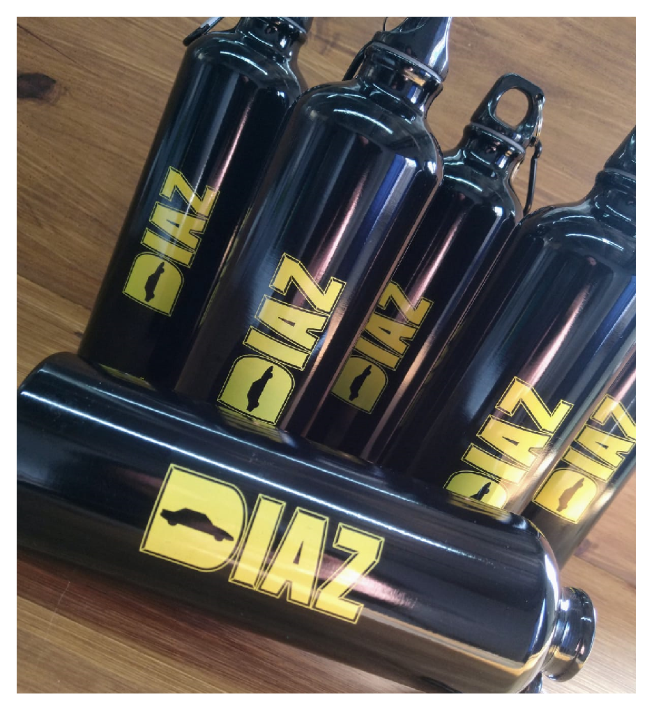 Botellas Metalicas DIAZ RENAULT
